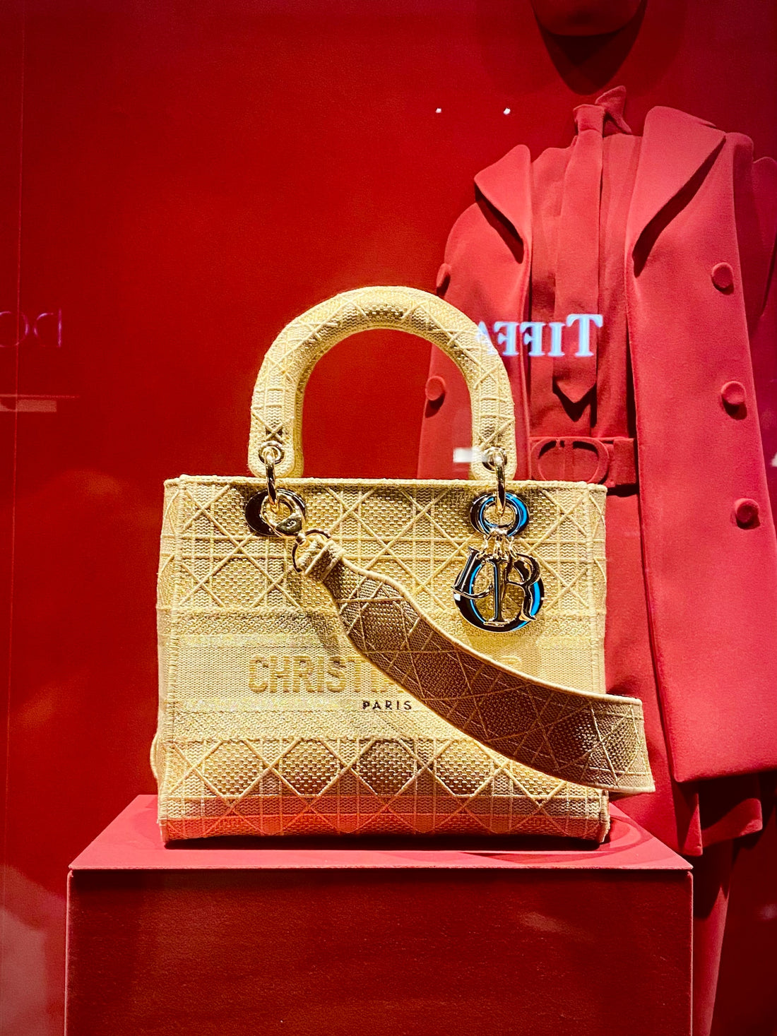 Decoding Luxury: A Comprehensive Luxury Bag Glossary